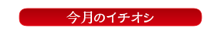 今月のイチオシ